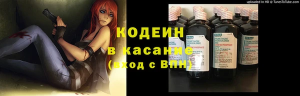 бошки Белокуриха
