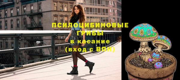 героин Богданович