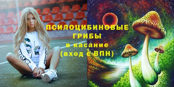 таблы Богородск